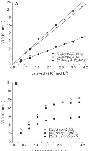 Figure 7. Dependence of the initial oxidation rate of TMPD on the catalyst and substrate concentrations, at (25.0 ± 0.5)°C