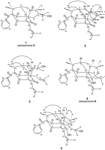 Figure 1. Structures of compounds 1 – 5 and selected nOe interac- interac-tions.