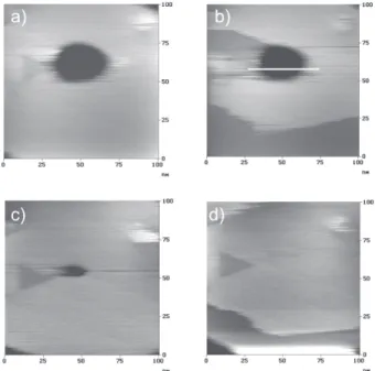 Figure 2. Typical in situ STM image of a polished Ag(111) surface.