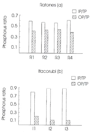 Figure 3. Histograms of IP/TP and OP/TP ratios in sediments of Ratones (a) and Itacorubi (b) mangroves.
