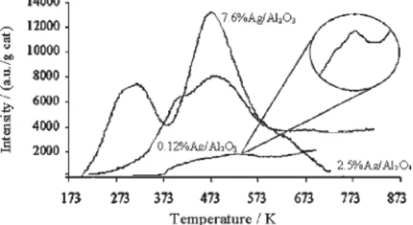 Figure 2. SEM micrograph of the Al 2 O 3 /Cordierite support.