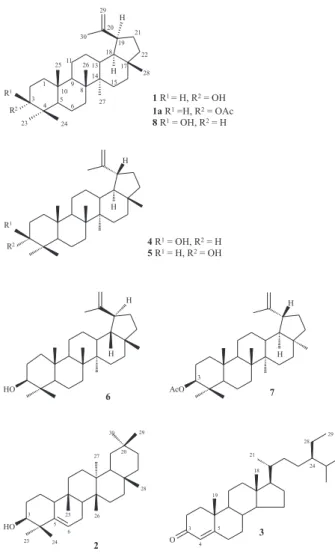 Figure 1. Diagnostic fragment for lupane (R 2  = H; R 3  = CH 3 ) and hopane (R 2 = CH 3 ; R 3  = H) triterpenes.