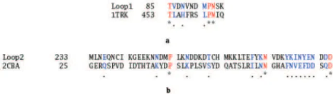 Figure 1. Alignments used to build the pfDHFR-TS complete model:
