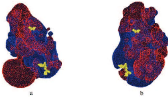 Figure 3. Electrostatic isopotential contours around P. falciparum DHFR-TS model. a) front view of the monomeric structure; b) back view of the monomeric structure
