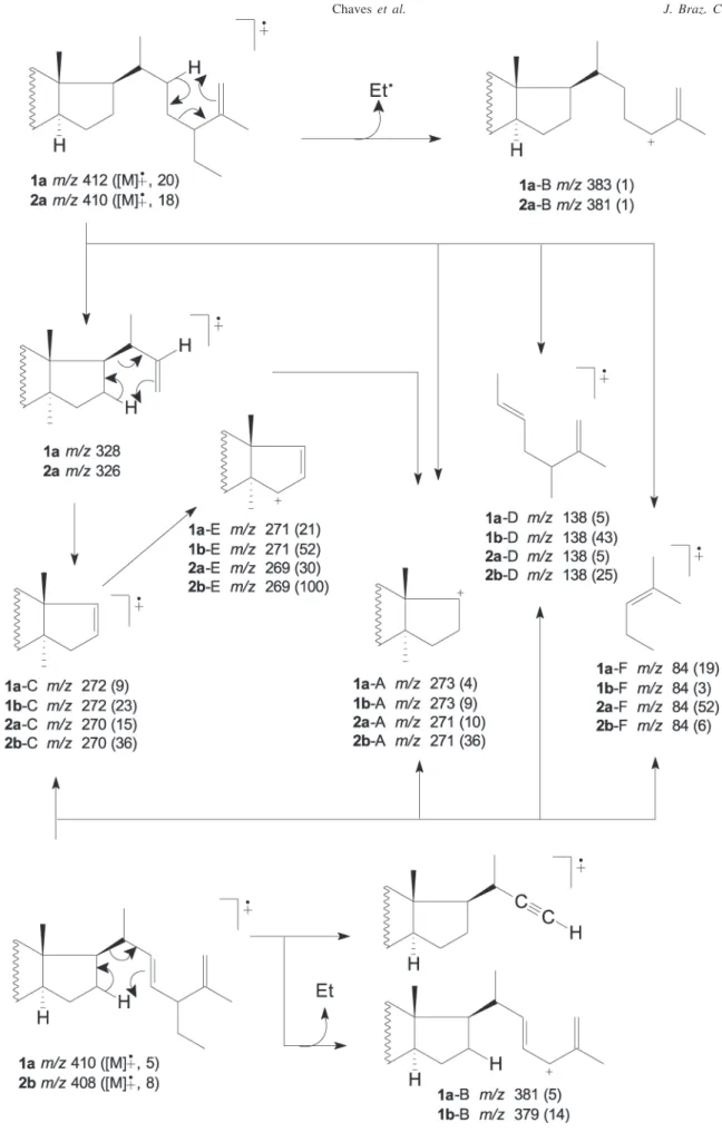 Figure 1. Proposed fragmentation patterns for side chain of steroids 1a, 1b,2a and  2b.