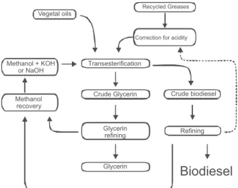 Figure 12. Schematic process for biodiesel production.