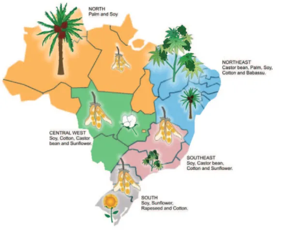 Figure 7. Biodiesel sources according to Brazilian regions.