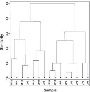Figure 5. Dendrogram obtained for samples collected in June/2001.