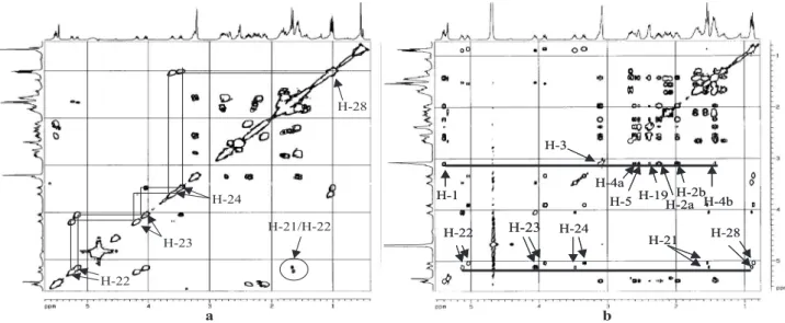 Figure 1.  1 H –  1 H 2D spectra obtained for neocyclocitrinol (3) in CD 3 OD. a: COSY spectrum produced after transformation of 253 FIDs, each of them composed of 16 transients, with an interpulse delay of 1.5 s