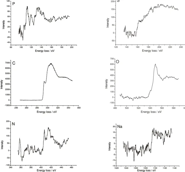 Figure 3 shows P and S elemental distribution maps for the same field shown in Figure 1