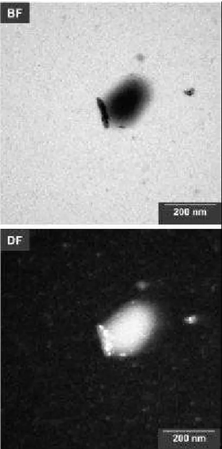 Figure 8. Carbon elemental map of a pair of particles (above), and the EELS spectra acquired from the areas numbered 1 to 5 on the C map (below).