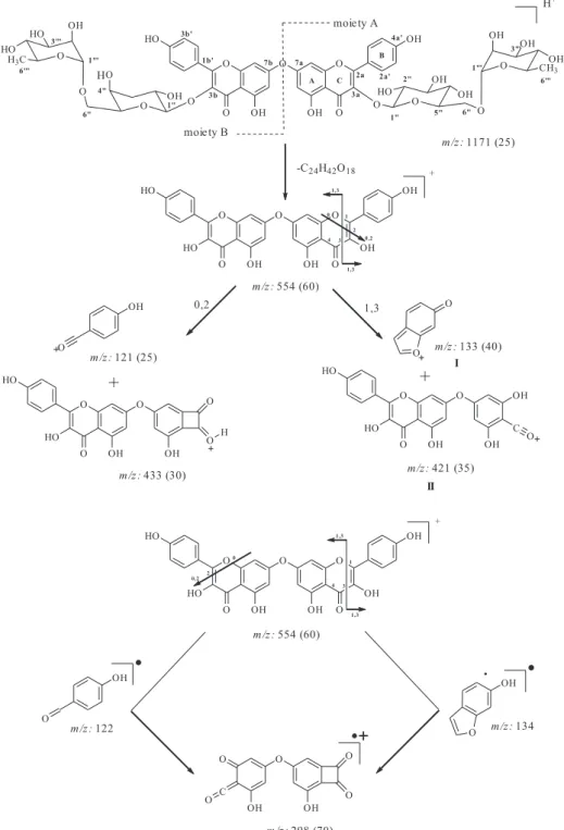 Figure 2. Selected fragment ions from compound 1 by ESIMS.