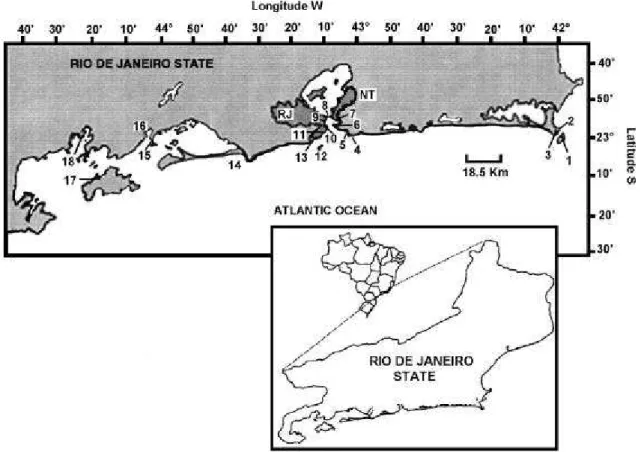Figure 1. Sampling sites along Rio de Janeiro coast. Stations: 1. Cabo Frio Island; 2