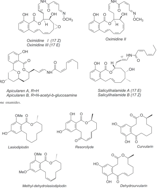 Figure 3. Orsellinic acid type macrolides.