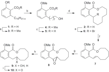 Figure 4. Simplified analogue of salicylate macrolactones.