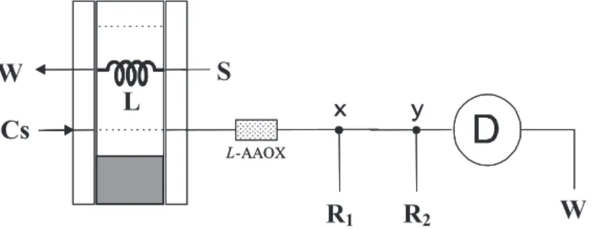 Figure 1. Flow set up used in initial experiments. Cs = carrier stream; R 1  and R 2  = luminol and hexacianeferrate streams; S = sample aspiration point; L = sample loop; W = waste; x and y = confluent points and L-AAOX = immobilized enzyme column.