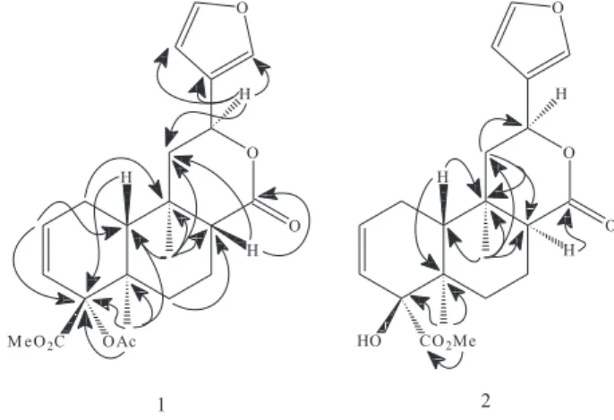 Figure 2. Significant NOESY correlations of 1.