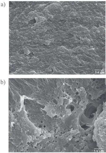 Figure 7. SEM micrographs of BPE/HDPE blends crio-fractured surfaces produced at 50 °C in hexane: (a) x Ni  = 0.25; (b) x Ni  = 0.25 after etching with o-xylene.