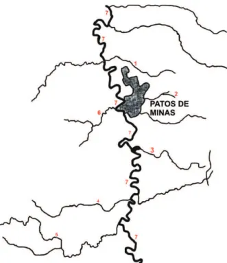 Figure 1 shows an overview of the Paranaiba River, its tributaries and sub-tributaries, which provides water for the city of Patos de Minas, where fish and water samples were collected.