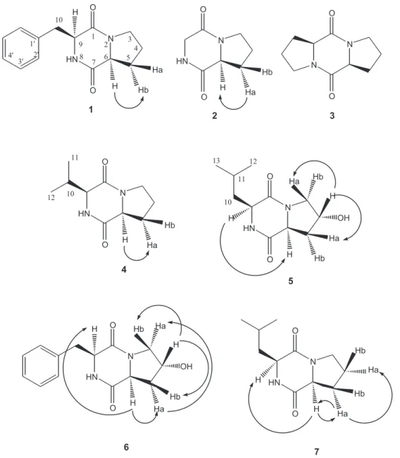 Figure 1. Structures and NOESY correlations of the isolated compounds. Cyclo (L)-Pro-(L)-Phe (1), cyclo (L)-Pro-Gly (2), cyclo (L)-Pro-(L)- (L)-Pro-(L)-Pro (3), cyclo (L)-(L)-Pro-(L)-Pro-(L)-Val (4), cyclo (L)-4-OH-(L)-Pro-(L)-Pro-(L)-Leu (5), cyclo (L)-4-