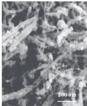 Figure 4 shows a SEM image of the active SiC nanotube supported NiS 2  catalyst after test and loaded with 200 wt.