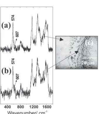 Figure 2. Resonance Raman spectra (O 0 = 632.8 nm) of PANI-DBSA/