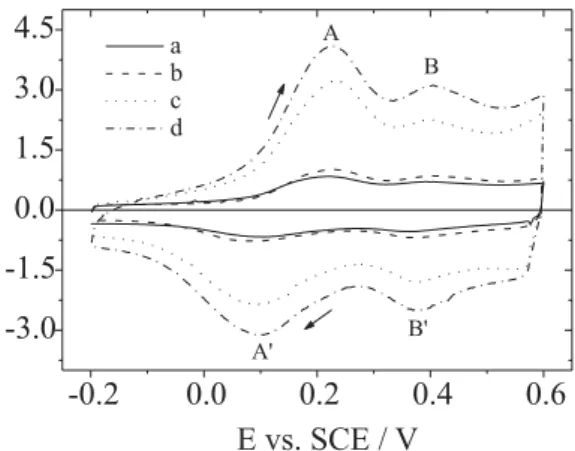 Figure 5. Cross-section analysis of a POEA self-assembled film obtained after 4 immersions of 30s from a 1x10 -3  mol L -1  POEA aqueous solution at pH 5.