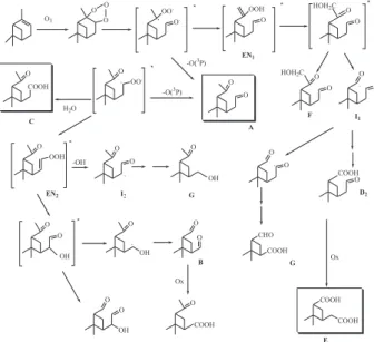 Figure 14. Reaction mechanisms for the oxidation of  α -pinene by NO 3  leading to the formation of pinane epoxide and pinonaldehyde