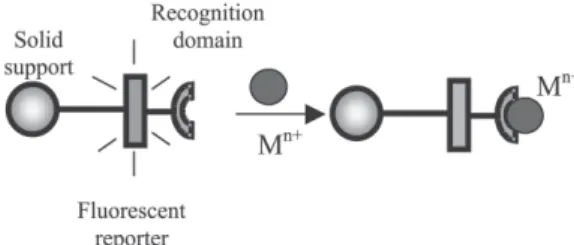 Figure 1. Principle of cation sorption and fluorescence signaling by quenching.