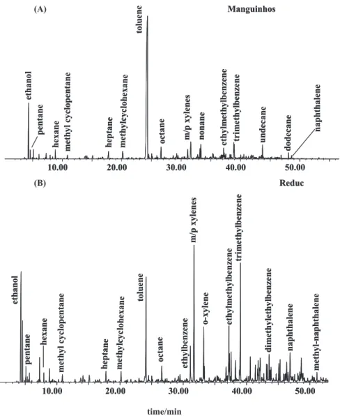 Figure 1. A typical gas chromatogram from Manguinhos (A) and Reduc (B) oil refineries gasoline samples.