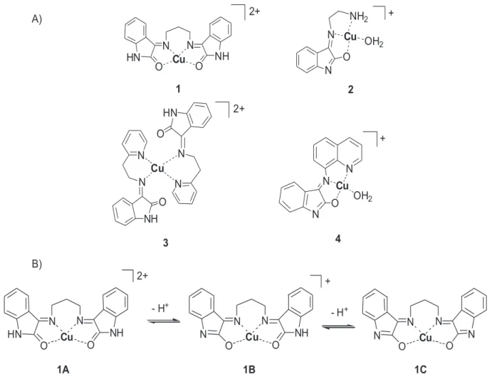 Figure 11. A) Examples of oxindolimine-copper(II) complexes capable of inducing apoptosis; B) Keto-enolic equilibria in a copper(II) complex with an oxindolimine ligand.