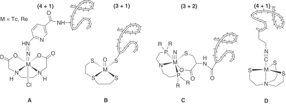 Figure 8. 6-Hydrazinonicotinic acid (A) and examples of HYNIC complexes with tricine and various hydrophilic ternary ligands.