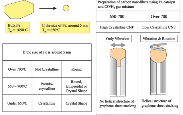 Figure 20 illustrates the morphological change of the catalyst particles during the pretreatment and CNF growth