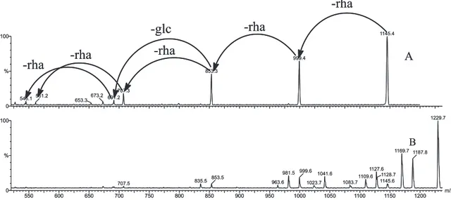 Figure 6. Selected ion recorded chromatograms for acetylated ASOGs obtained by electrospray ionization in the negative ion mode.