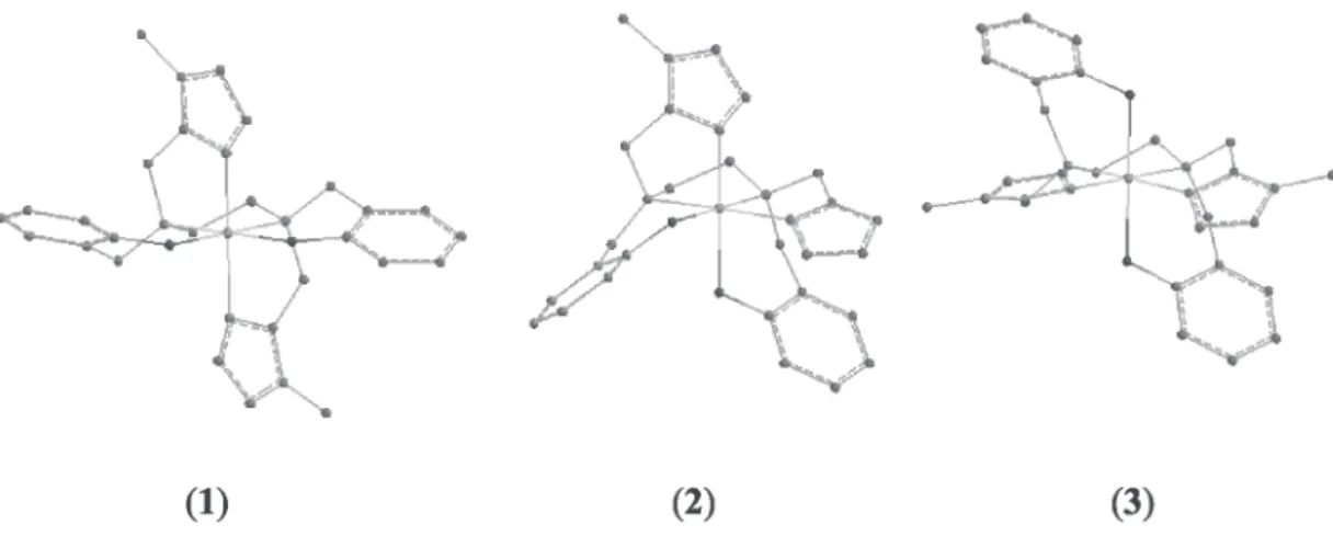 Figure 7. Representation of the three theoretically possible geometric isomers of the [Fe(bbimen)] +  cation complex.