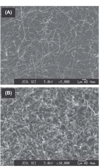 Table 1. Experimental parameters for samples prepared by the growth method 1 using either 6 nm thick Ni film or 3 nm thick Cu film
