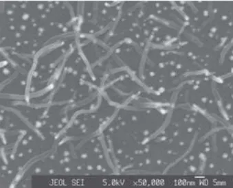 Figure 4. SEM image of sample prepared by growth method 1 using Cu film at 900  o C and H 2 :CH 4  ratio of 4:1.