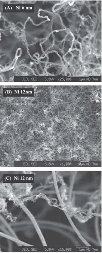 Figure 6. SEM images of samples prepared by growth method 4 using Ni films with different thicknesses.
