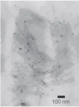 Figure 2. TEM micrograph of an ultra-thin section of the terpolymer impreganted with silver nanoparticles.