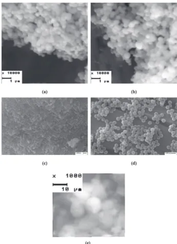 Figure 7 shows the nitrogen isotherms of the porous carbon matrixes obtained by nano-casting from the different silica patrixes described above and of the carbon obtained by carbonisation of the sucrose in the absence of any silica patrix