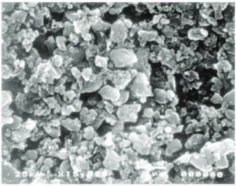 Figure 3. SEM photograph of LiPO 4 /C composite prepared by liquid- liquid-based method