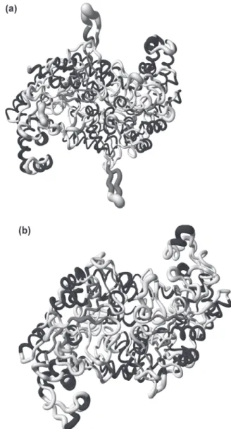 Table 1 summarizes  the distance variations between the compounds tails and the side chains of Glu137 and Asp146, respectively