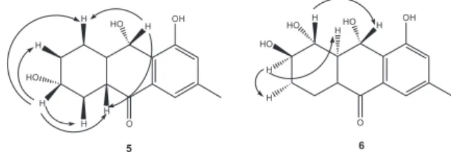 Figure 2. Main correlations observed in the NOE differential experiments for dendryol E (5) and dendryol F (6).