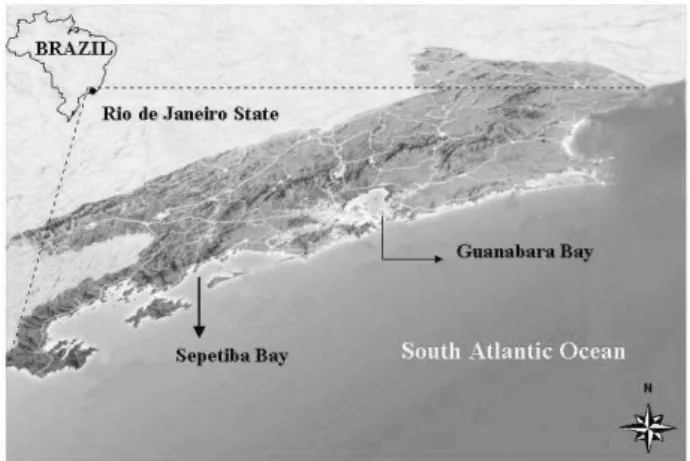 Table 1. Average of the biological parameters of the bivalve species (total shell length) sampled in August 2000 inside Sepetiba and Guanabara Bays