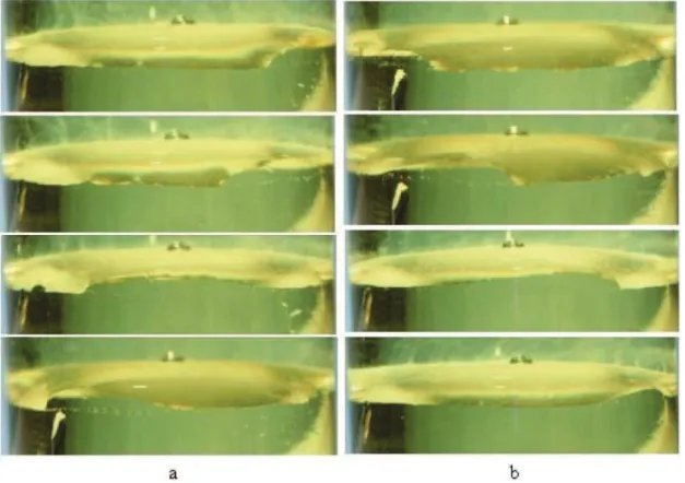 Figure S1. Transmitting process of interface wave: a) clockwise; b) anticlockwise. Conditions: aqueous phase (5 mmol L -1  CTAB); organic phase (5 mmol L -1  picric acid and 1.0 mol L -1  ethanol in nitrobenzene); the interval (1/8 s).