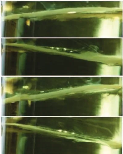Figure S2. Interface teeterboard-like motion. Condition was the same as in Figure S1, except the reaction vessel.