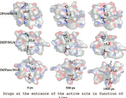 Figure S4. Distance variations between the phosphorous atom of GA and the oxygen of 2-PAM, DZP and DZPanion, along the MD simulations, when docked at the entrance of the well that conducts to the active site of HuAChE; Figure prepared with software PyMOL.