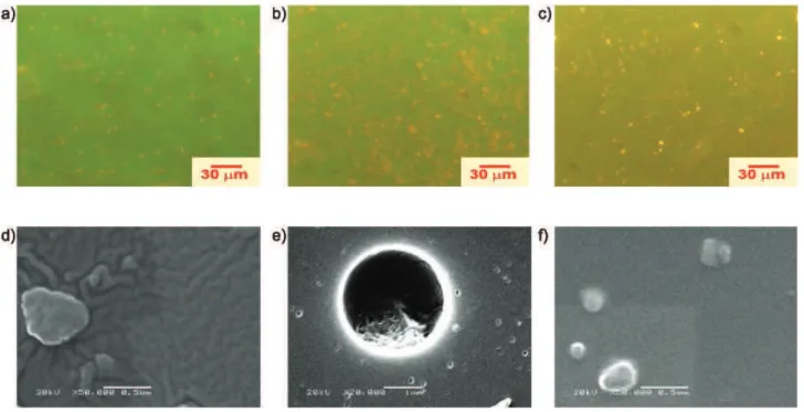 Figure 7. EFM (top) and SEM (bottom) micrographs of the spin coated blends with 0.1 wt% MEH-PPV with: (a) and (d) PS-py, (b) and (e) SEHAMA-py- SEHAMA-py-9 and (c) and (e) SEHAMA-py-1SEHAMA-py-9.