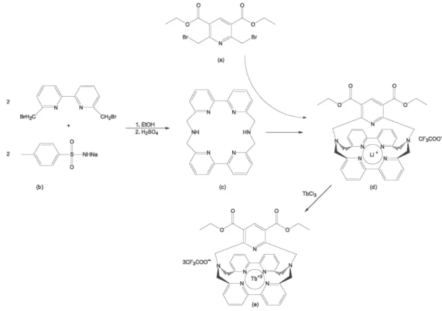 Figure 1. Schematic synthesis of terbium cryptate.