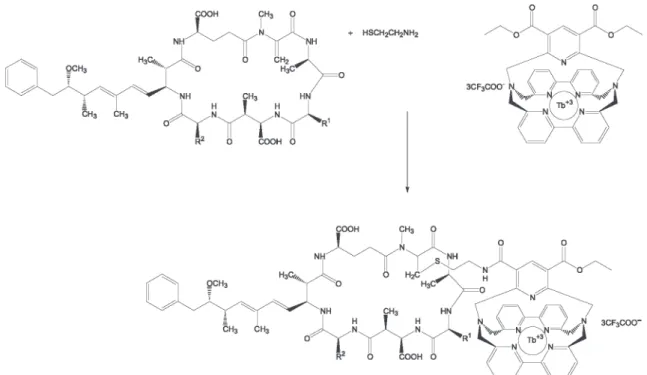 Figure 7. Microcystin-LR terbium cryptate conjugation reactions.